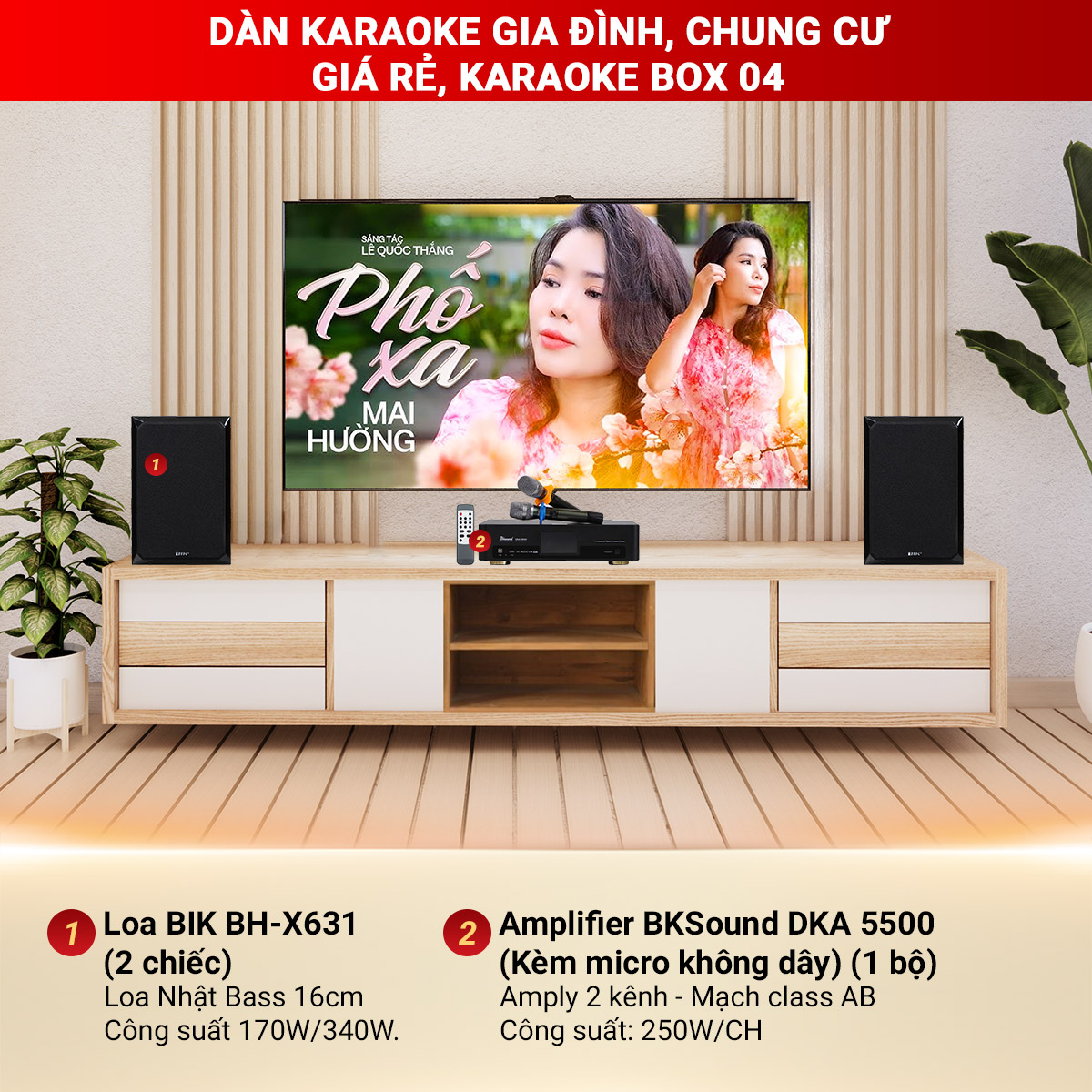 Dàn karaoke gia đình, Chung Cư Giá Rẻ, Karaoke Box 04
