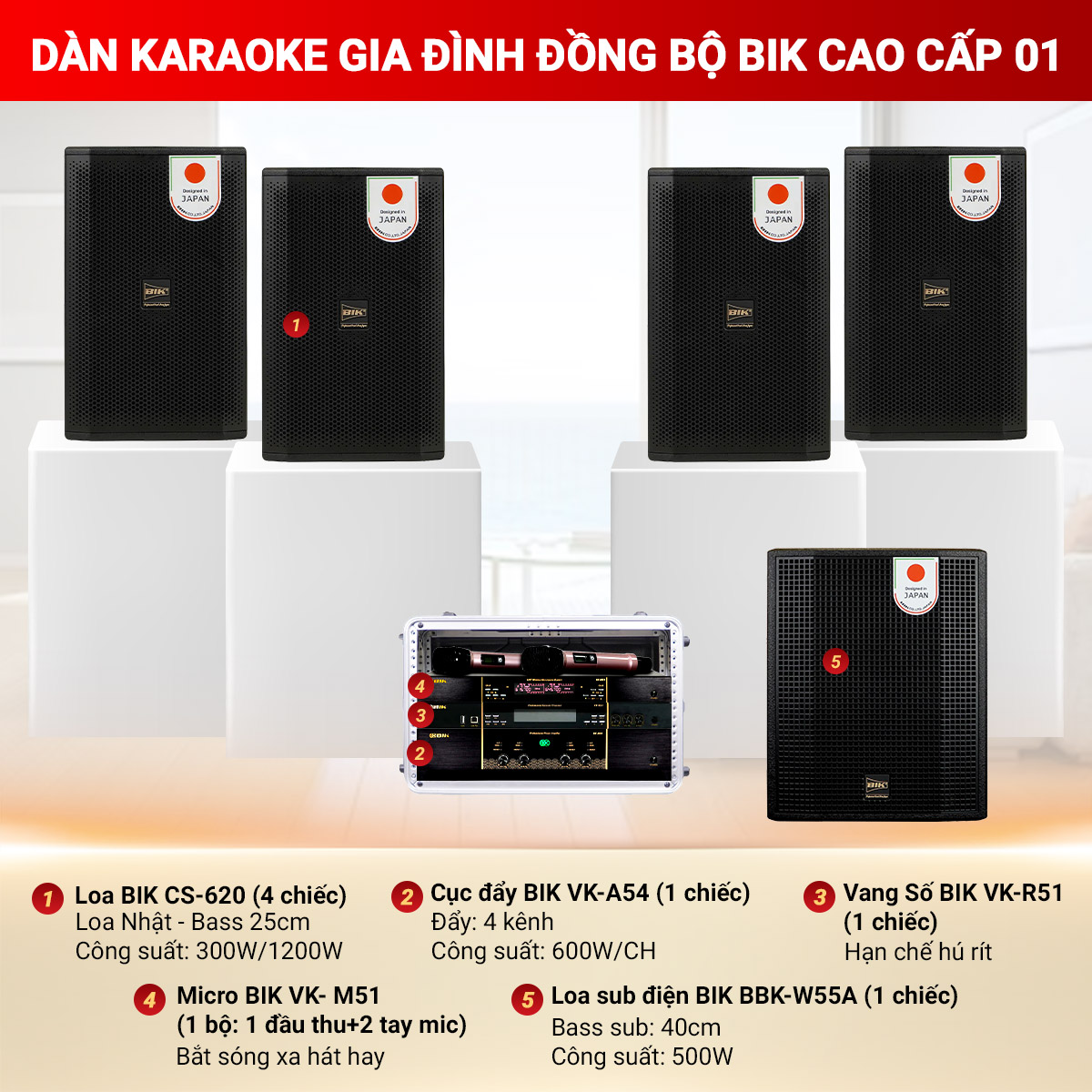 D&agrave;n karaoke gia đ&igrave;nh đồng bộ BIK cao cấp 01