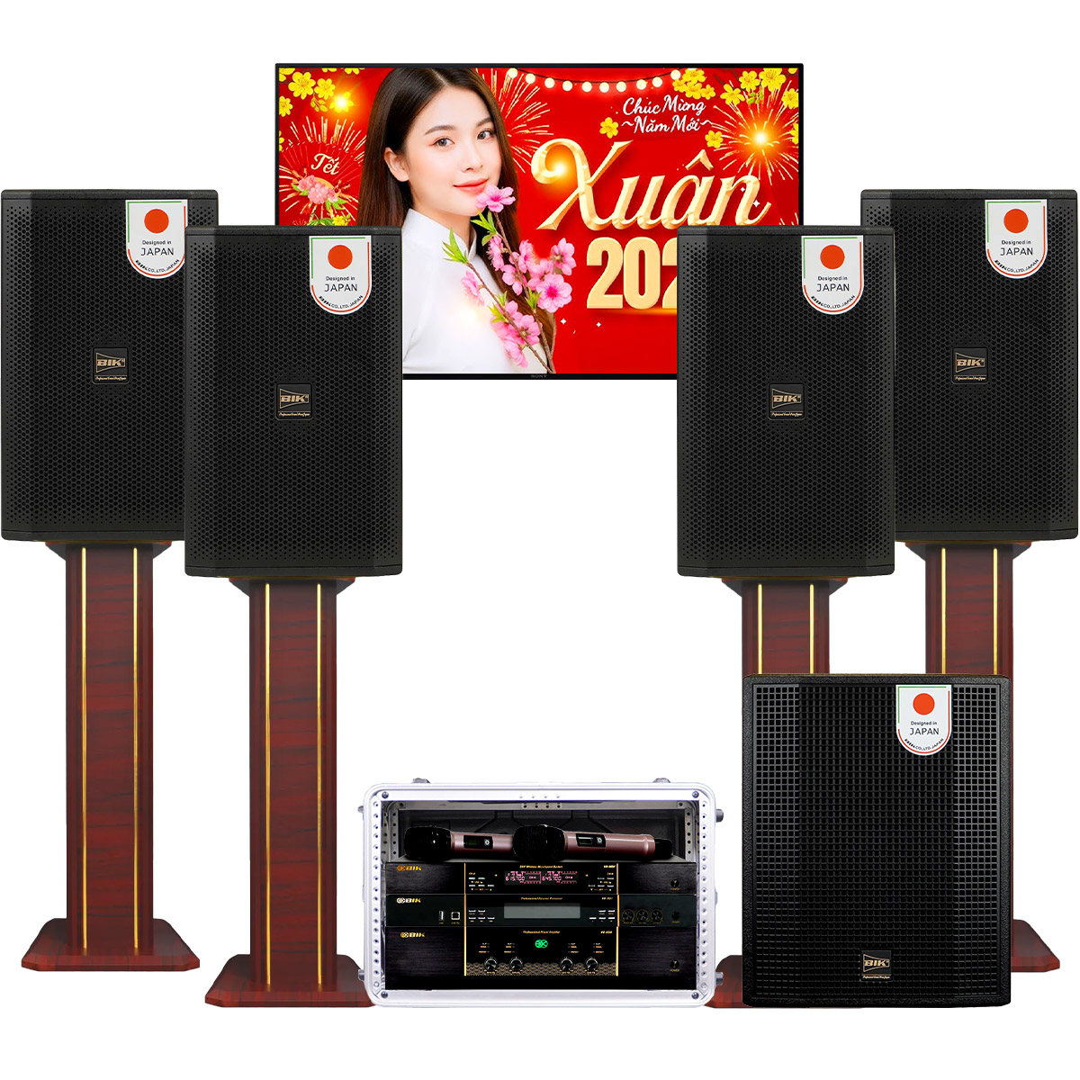 D&agrave;n karaoke gia đ&igrave;nh đồng bộ BIK cao cấp 01