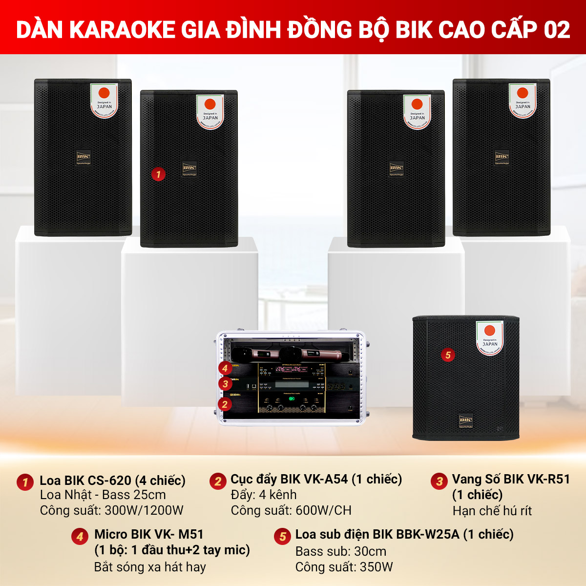 D&agrave;n karaoke gia đ&igrave;nh đồng bộ BIK cao cấp 02