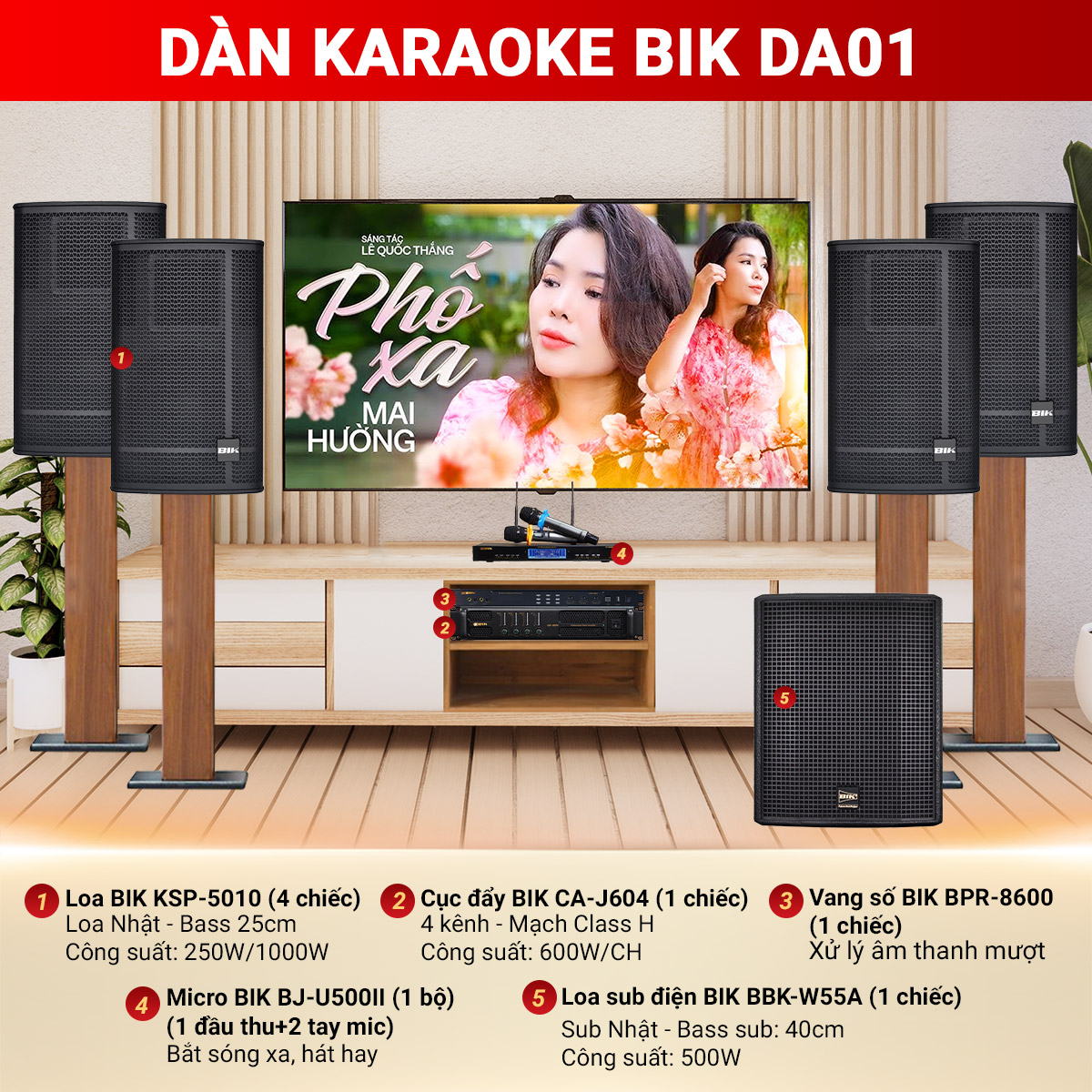 Dàn karaoke BIk DA01