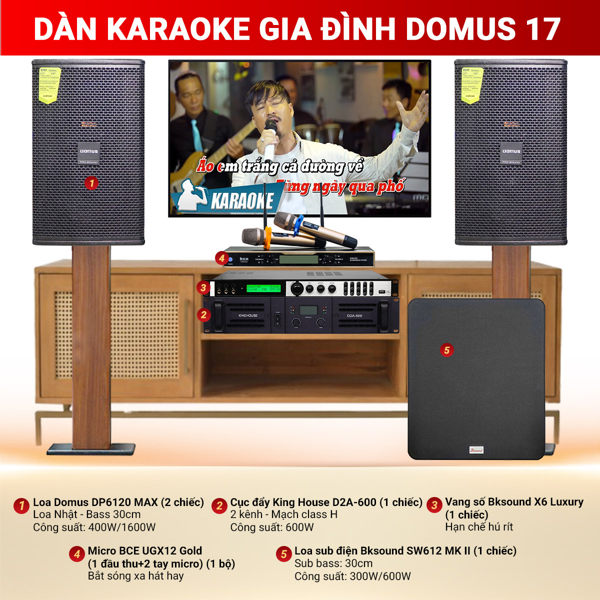 Dàn karaoke gia đình Domus 17