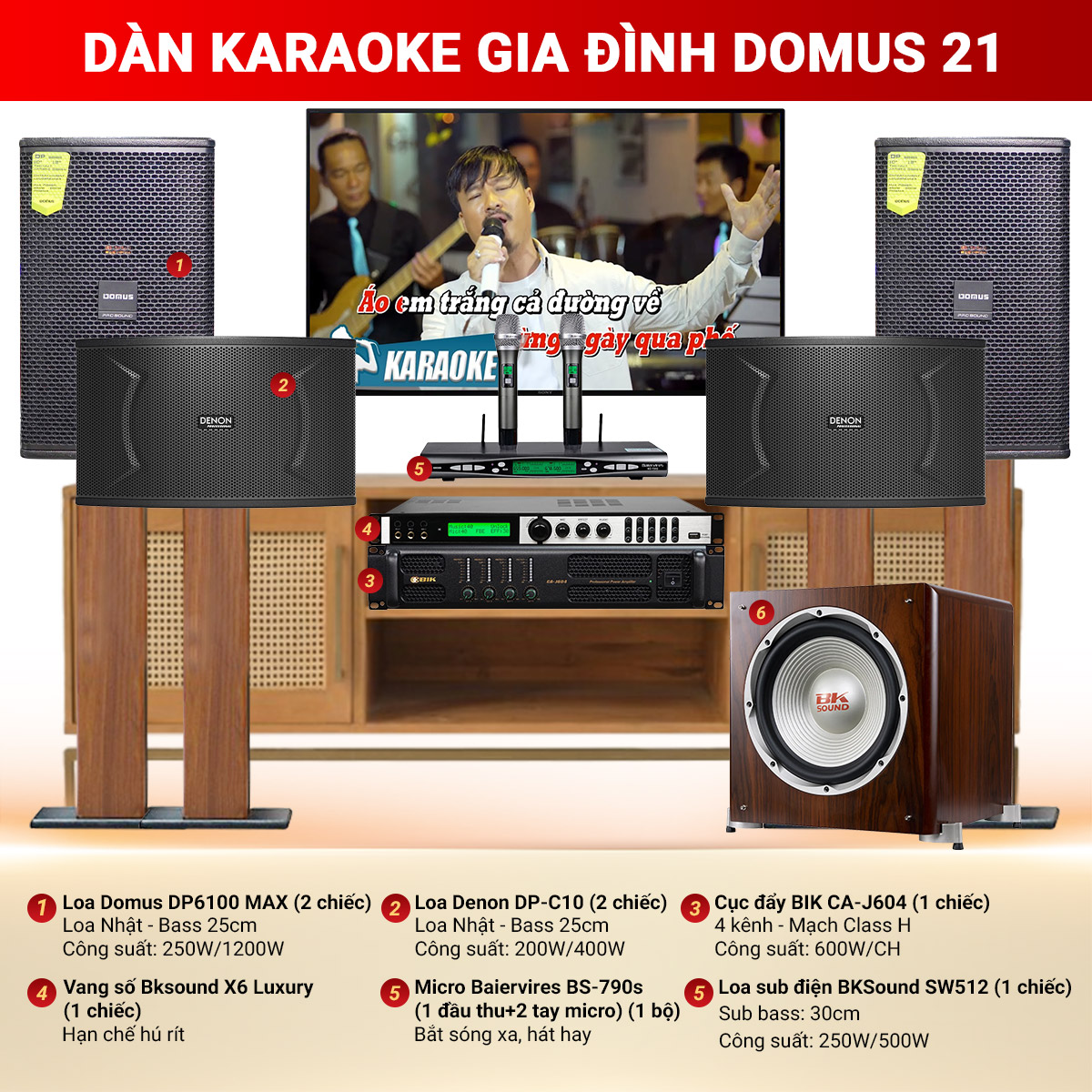 Dàn karaoke gia đình Domus 21