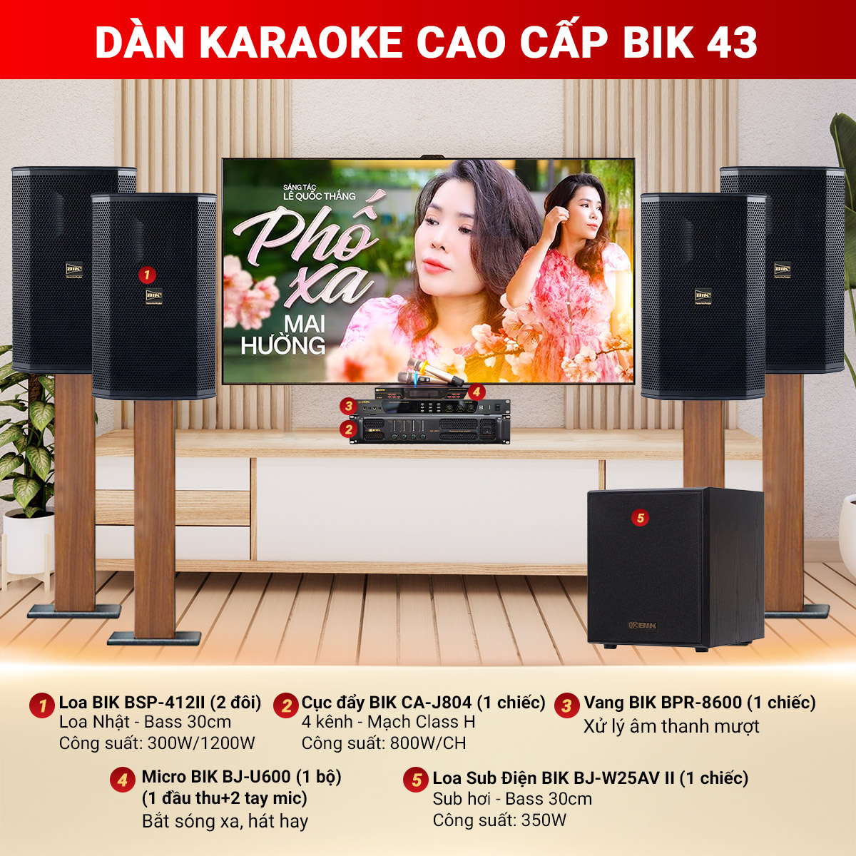 Dàn karaoke cao cấp BIK 43