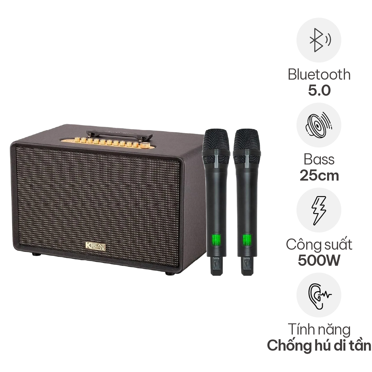 Loa Acnos FLAC 39 (500W, Bluetooth 5.0, Kèm 2 tay micro)