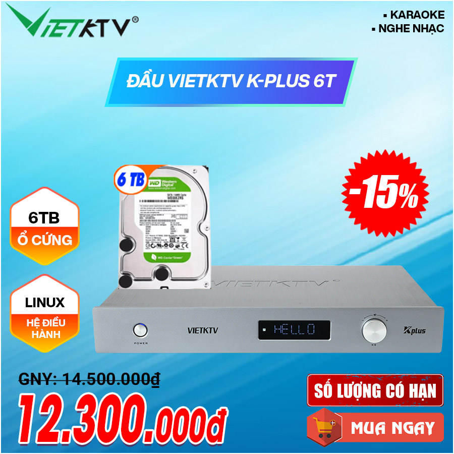 Đầu Việt KTV K-Plus 6T