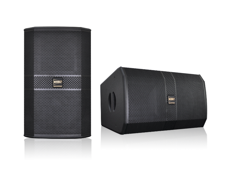 Loa BIK BBK-S312