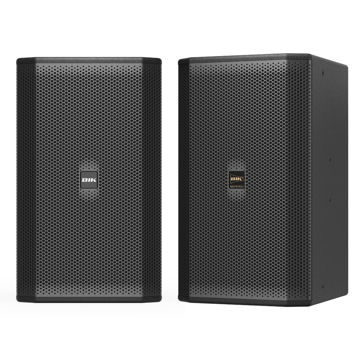 Loa BIK CS-625