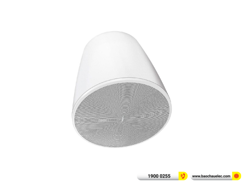 Loa Bose DesignMax DM10P-SUB
