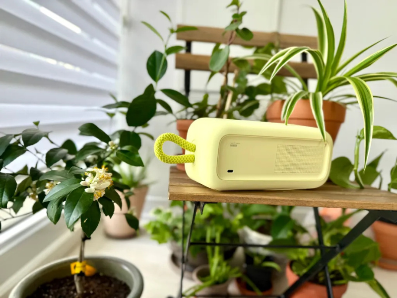 Loa Bose SoundLink Plus Portable