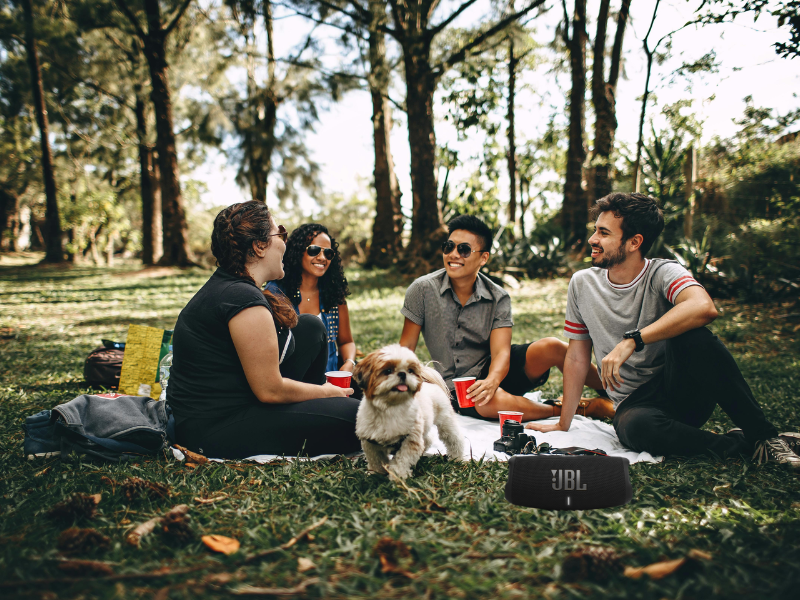 Loa JBL Charge 5 Wi-Fi