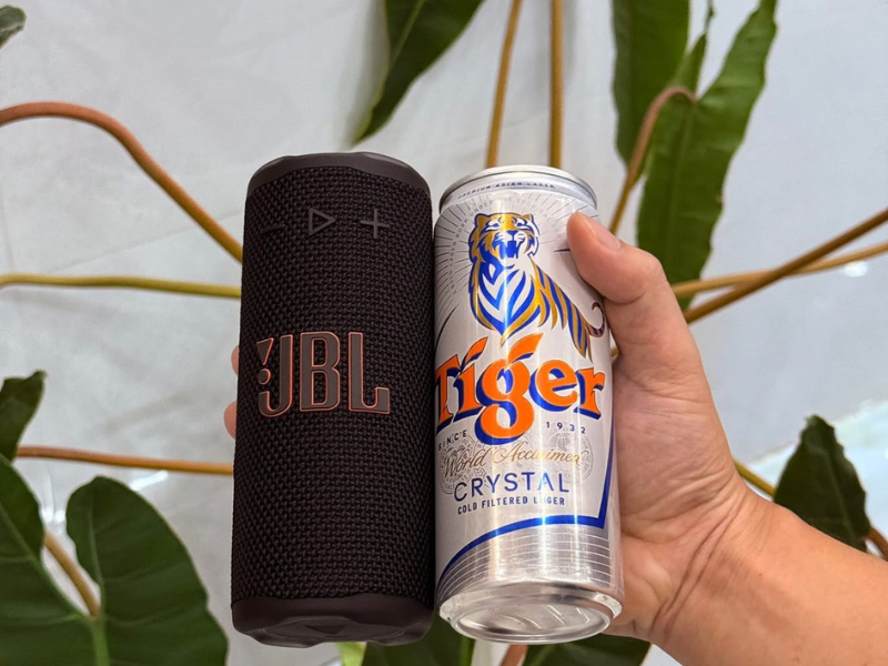 Loa JBL Grip