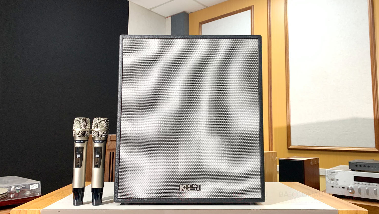 Loa Karaoke Di Động Acnos CS550 Luxury