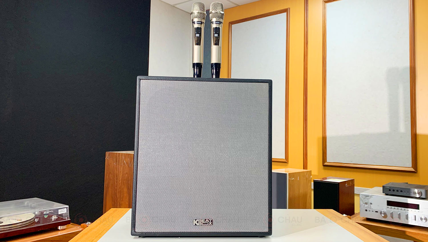 Loa Karaoke Di Động Acnos CS550 Luxury
