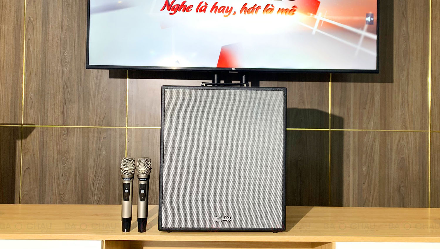 Loa Karaoke Di Động Acnos CS550 Luxury