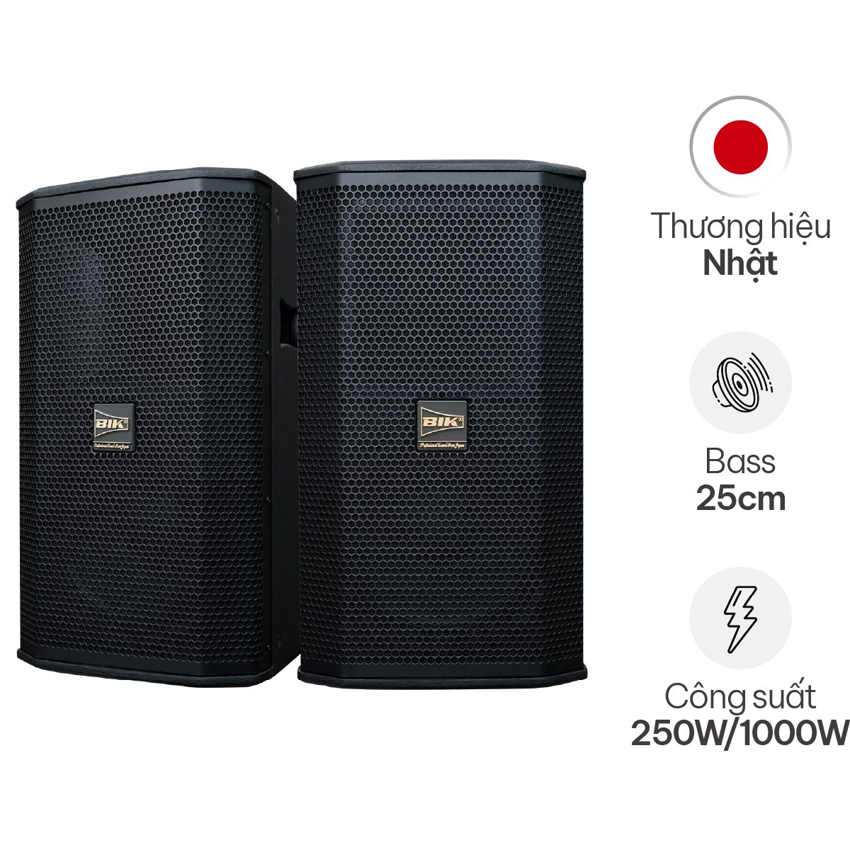 Loa karaoke Nhật BIK BSP 410II Cao Cấp (Full bass 25cm)