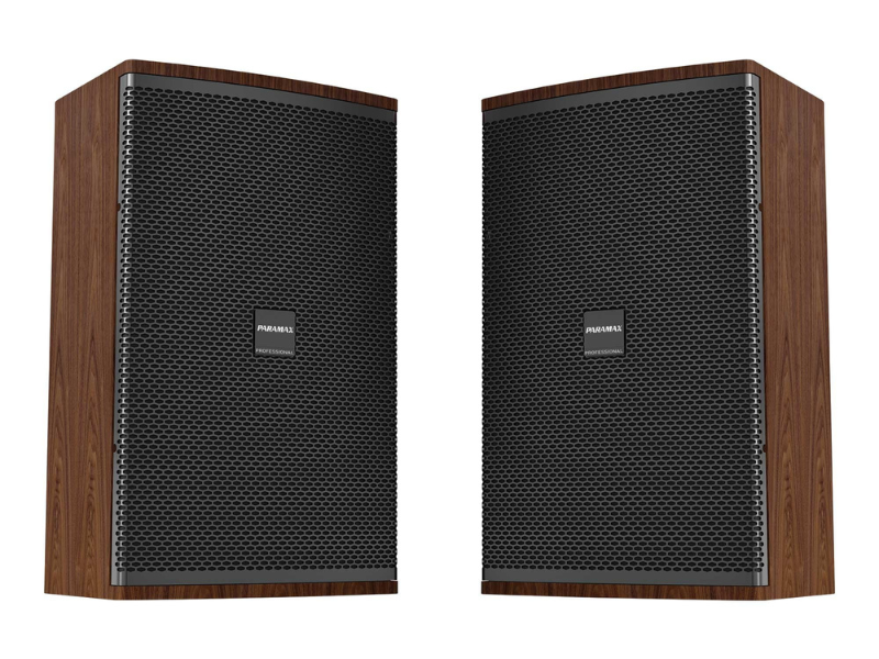 Loa Paramax Classe 30