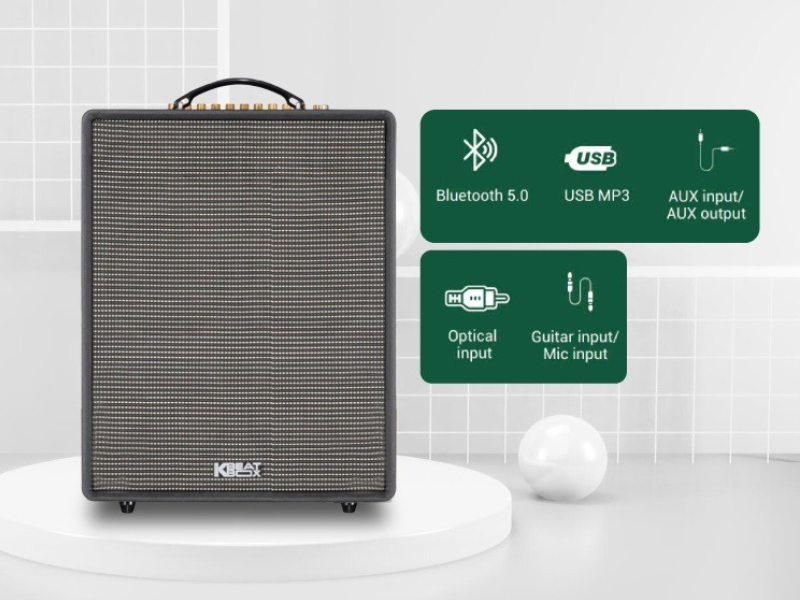 Loa karaoke ACNOS CS552 PLUS