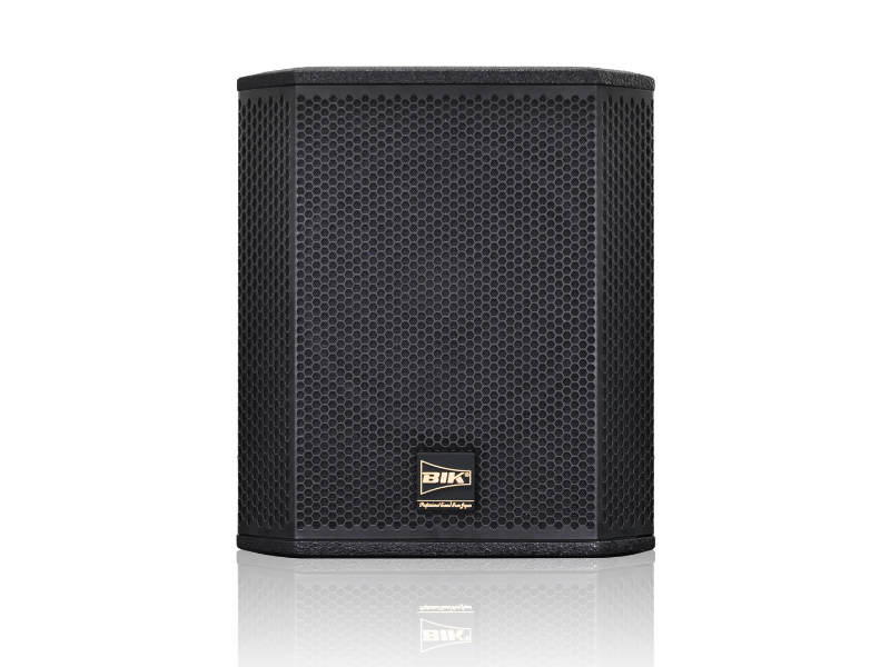 Loa sub BIK BBK-W25A