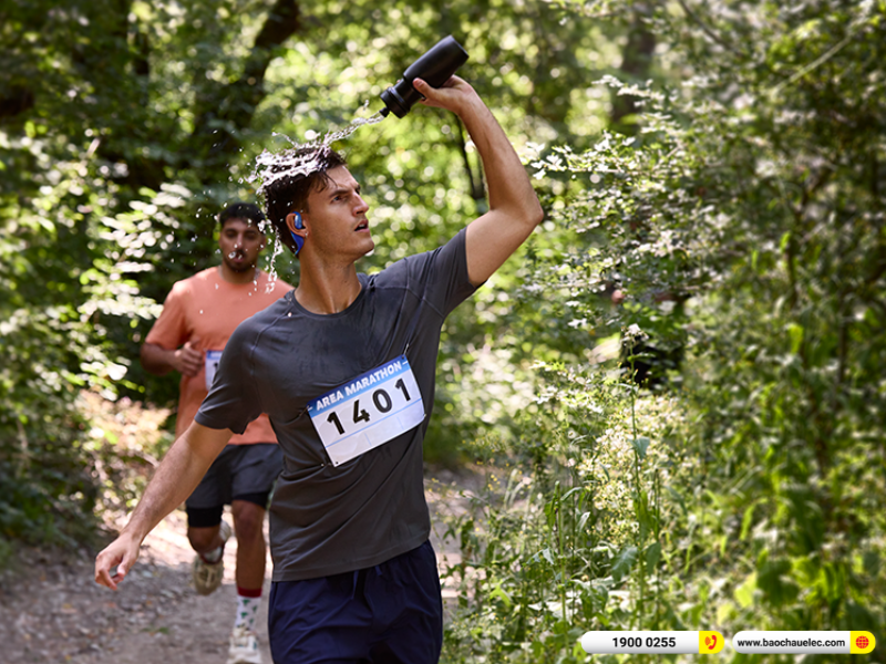 Tai nghe JBL Endurance Pace