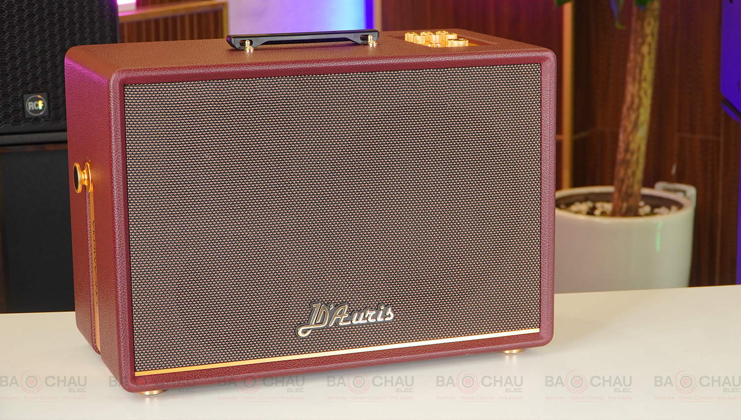 Loa Acnos D&rsquo;Auris 500