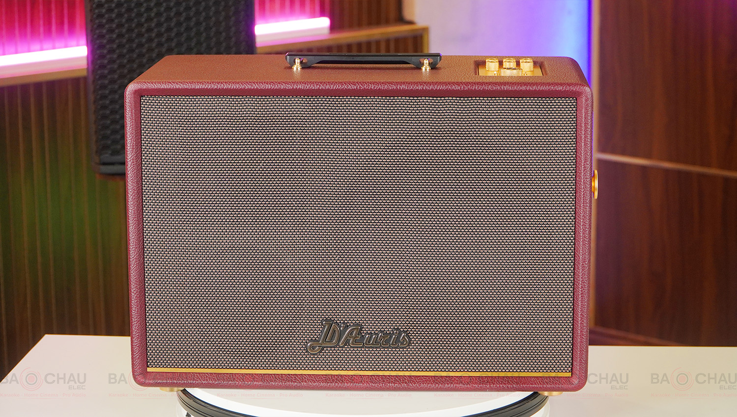 Loa Acnos D&rsquo;Auris 500