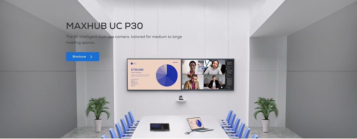 Camera Maxhub UC P30