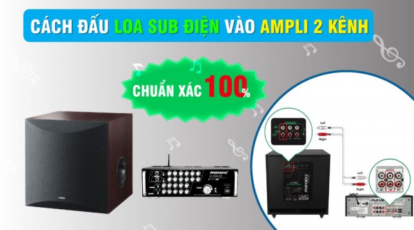 Hướng dẫn cách đấu loa Sub vào amply chuẩn xác 100%