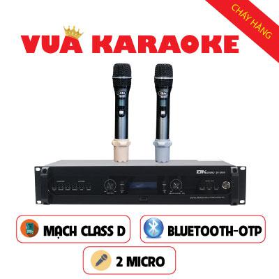 Đẩy liền vang kèm micro không dây BKsound DP8000