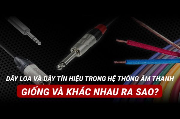 Dây loa và dây tín hiệu trong hệ thống âm thanh giống và khác nhau ra sao?