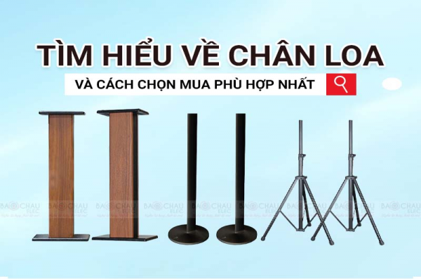 Tìm hiểu về Chân loa và cách chọn mua phù hợp nhất 