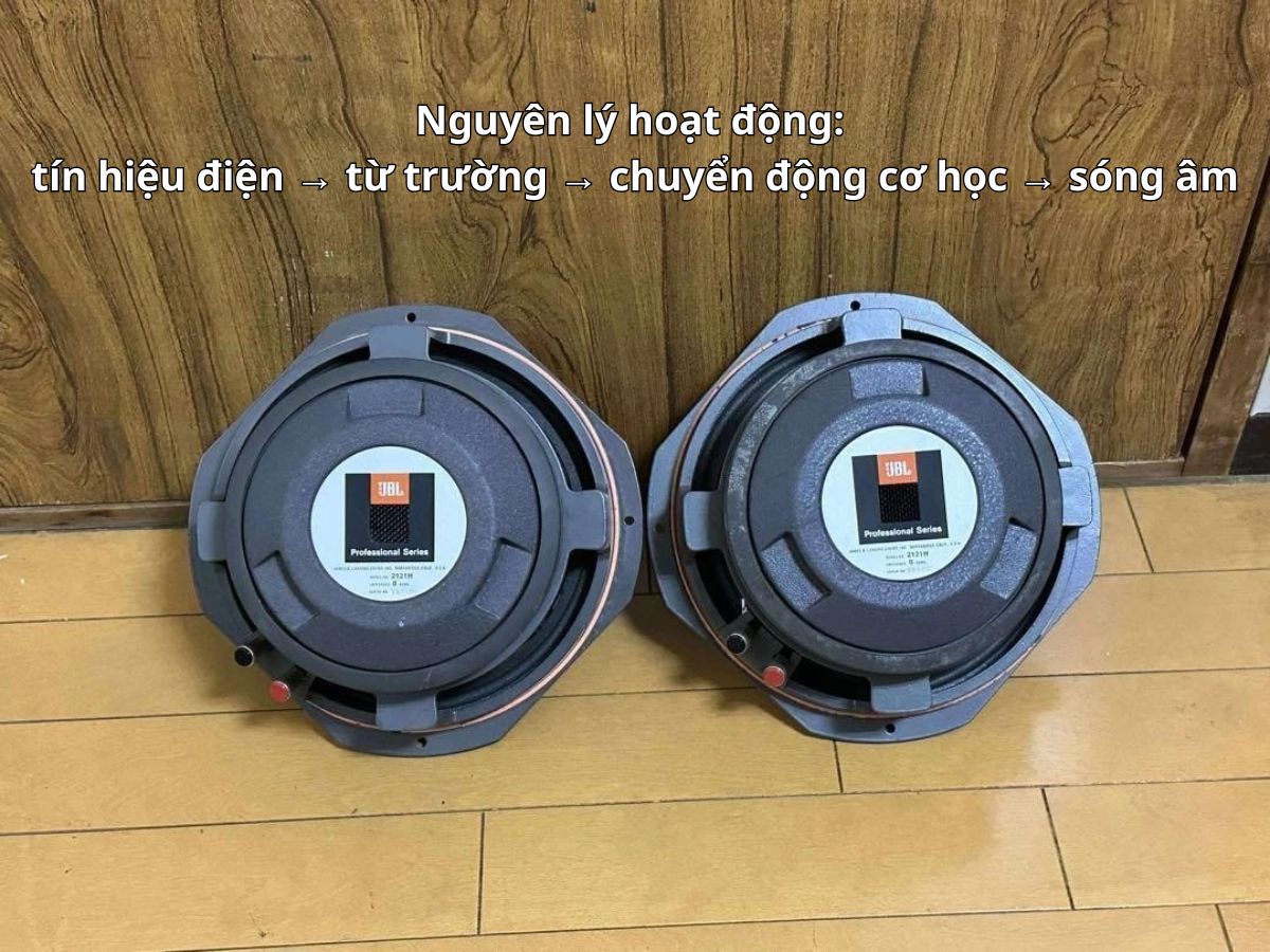 Tìm hiểu củ loa JBL: Cấu tạo, công dụng và cách hoạt động