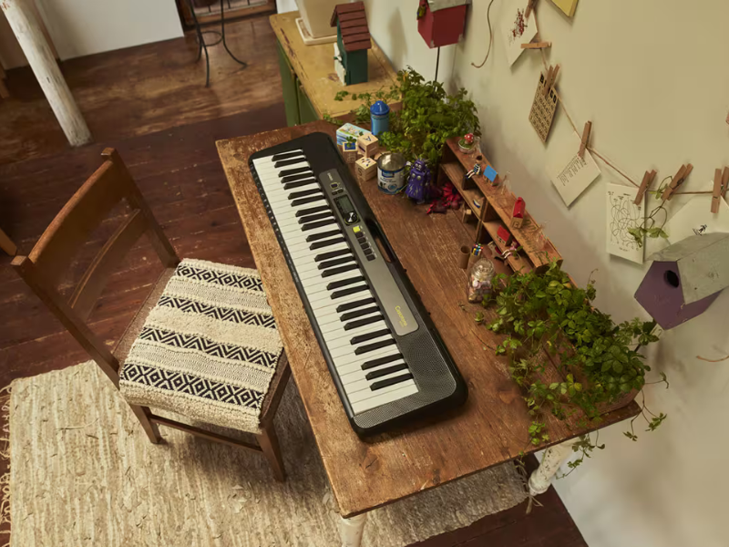 Đàn Organ Casio Casiotone LK-S250