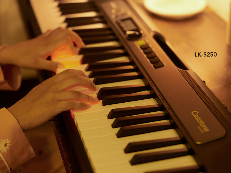 Đàn Organ Casio Casiotone LK-S250