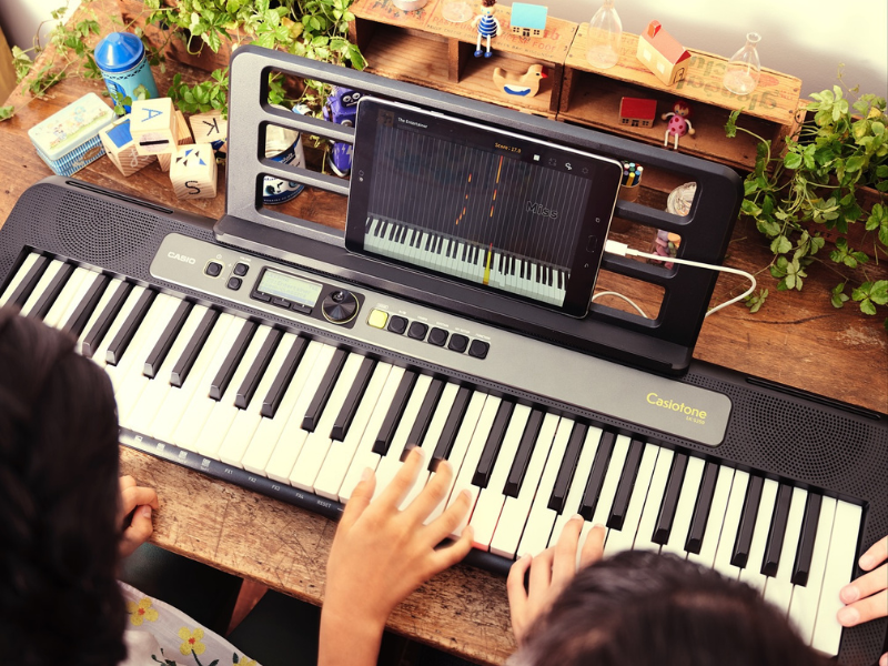 Đàn Organ Casio Casiotone LK-S250