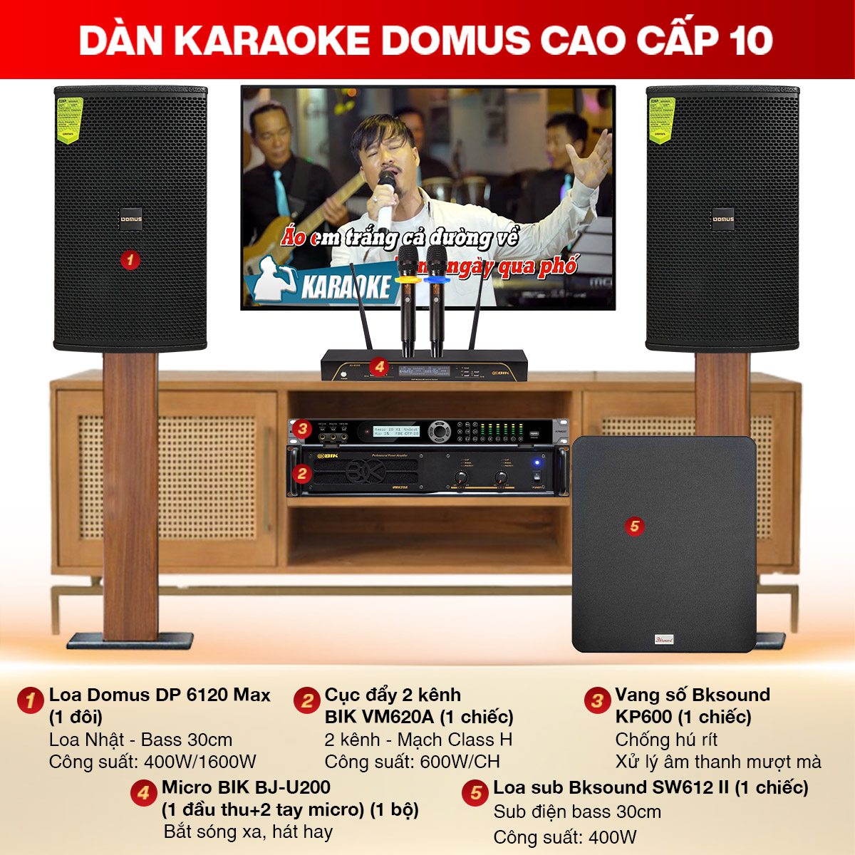 Dàn karaoke Domus cao cấp 10