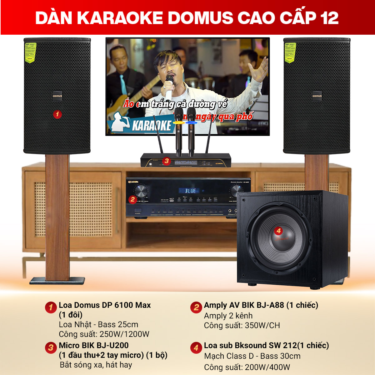 Dàn karaoke cao cấp Domus 12