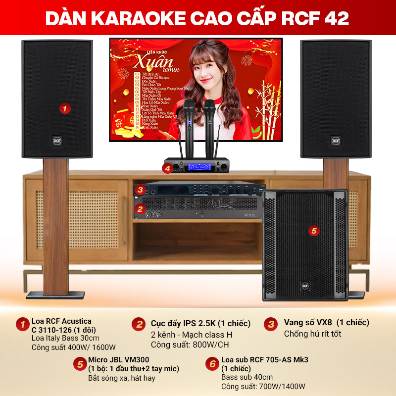 Dàn Karaoke Cao Cấp RCF 42