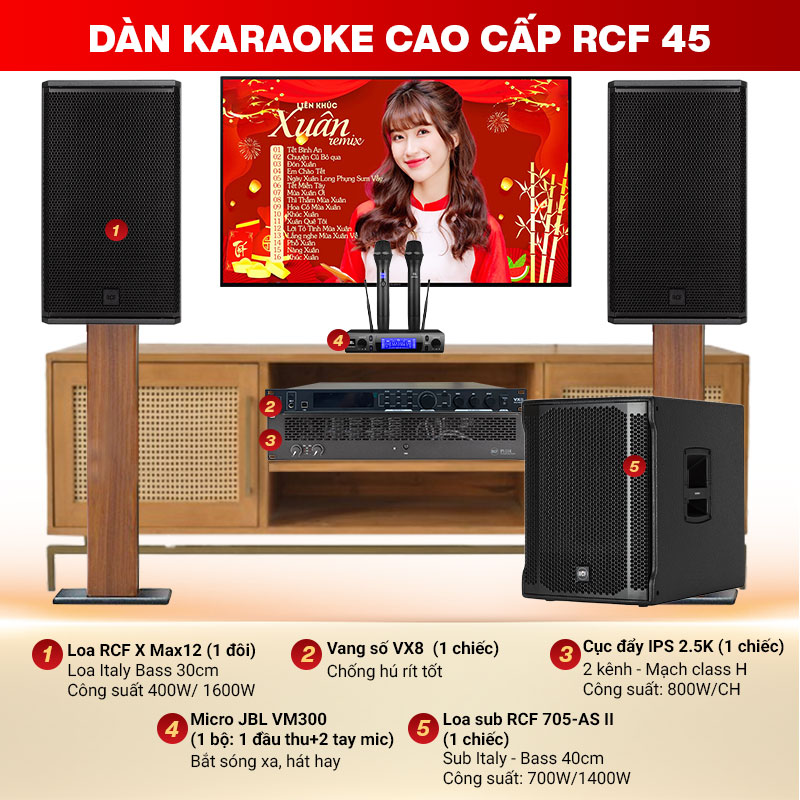 Dàn karaoke cao cấp RCF 45