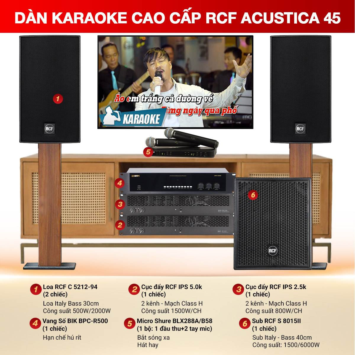 Dàn Karaoke Cao Cấp RCF Acustica 45
