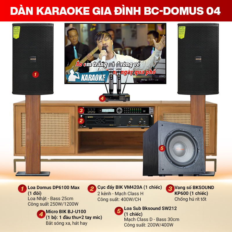 Dàn karaoke gia đình BC-Domus 04