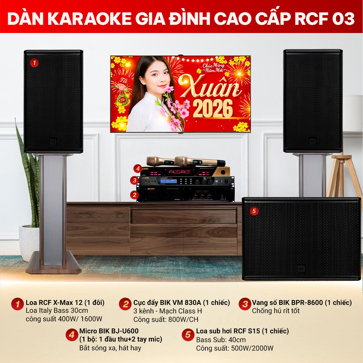 D&agrave;n karaoke gia đ&igrave;nh cao cấp RCF 03