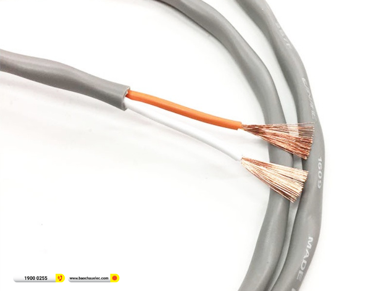 D&acirc;y Loa 2 l&otilde;i CANARE 2S7F