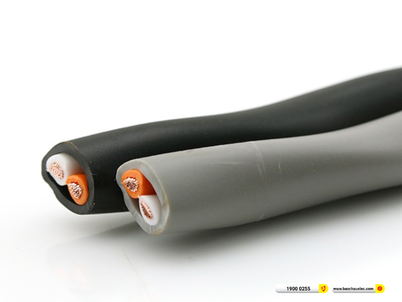 D&acirc;y Loa 2 l&otilde;i CANARE 2S9F