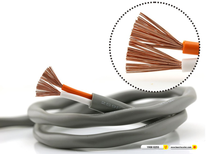 D&acirc;y Loa 2 l&otilde;i CANARE 2S9F