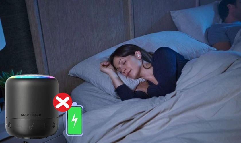 Dây sạc loa bluetooth