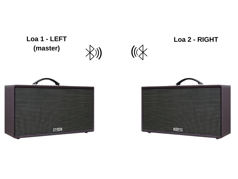 Hướng dẫn sử dụng loa Acnos Flac 36