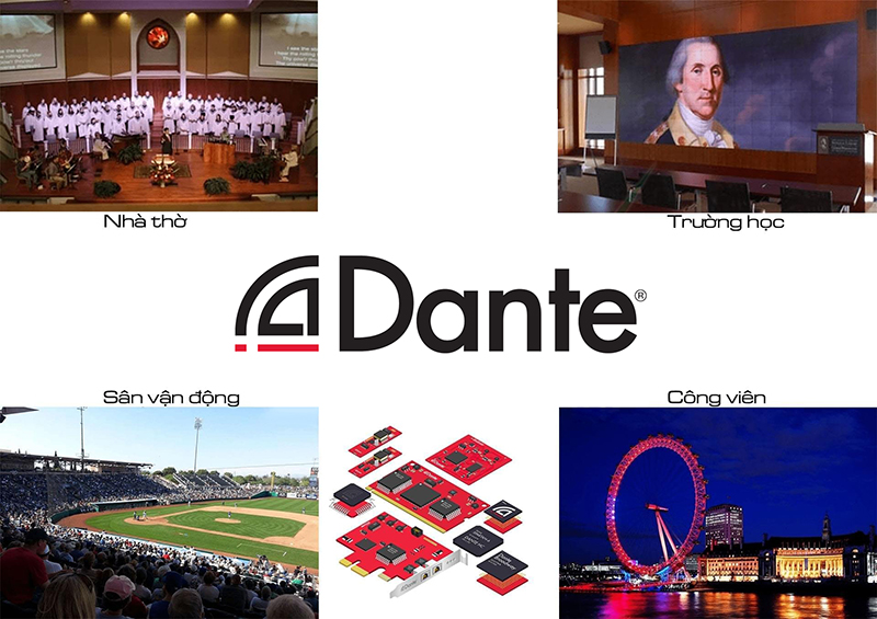Dante là gì? Tìm hiểu cách hoạt động và ứng dụng của Dante 