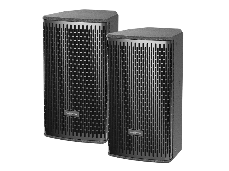 Loa Audiocenter DS10