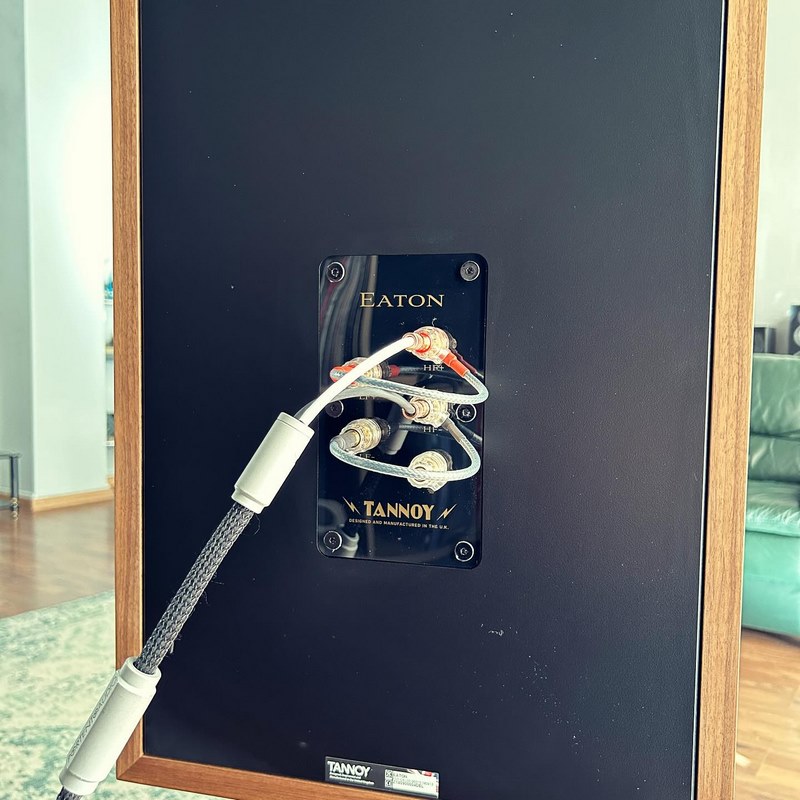 Loa tannoy Eaton